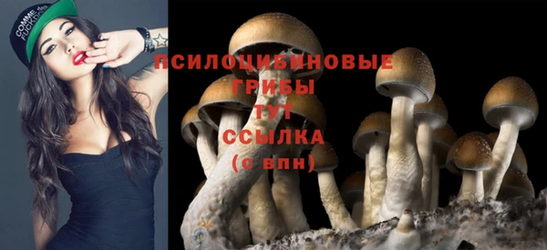 герыч Алзамай