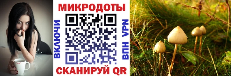гидра ONION  Балашов  Псилоцибиновые грибы мухоморы  купить наркотики сайты 